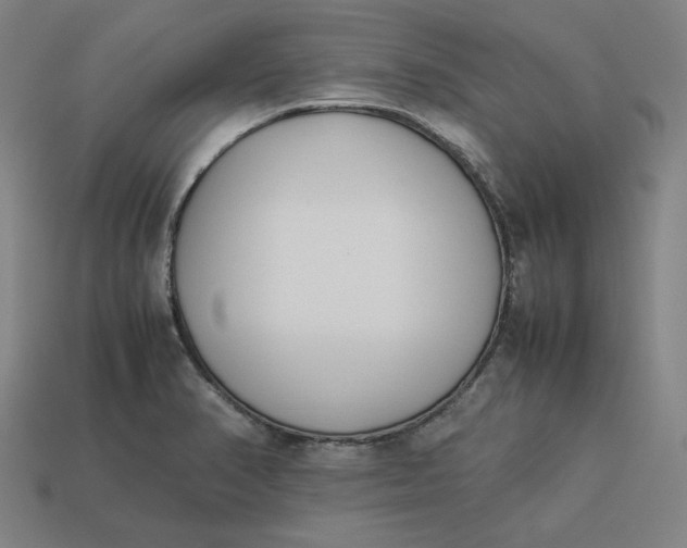 X0000113351374200910061010