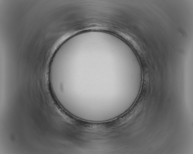 X0000113351375200910061010