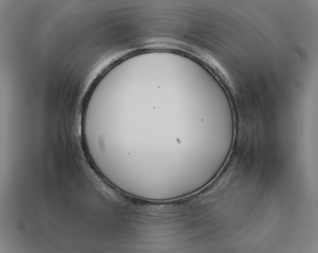 X0000113351376200910061010