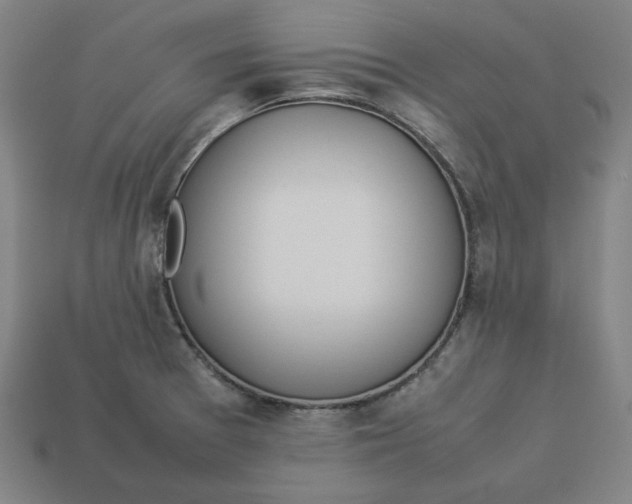 X0000113351377200910061010