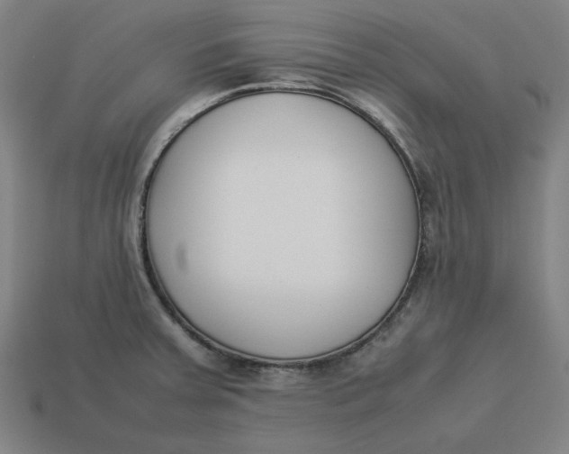 X0000113351379200910061010