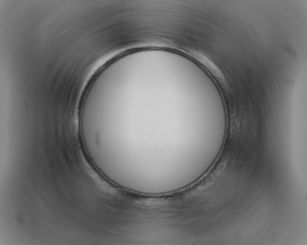 X0000113351380200910061010