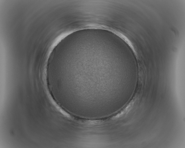 X0000113351381200910061009