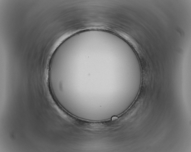 X0000113351383200910061009