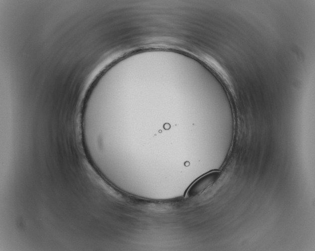 X0000113351384200910061009