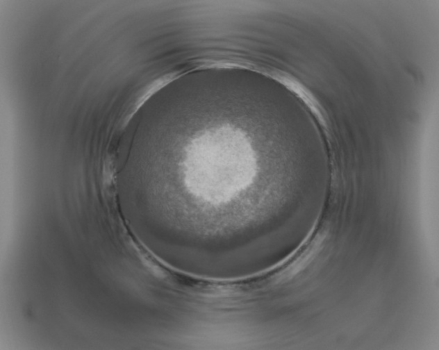 X0000113351385200910061009