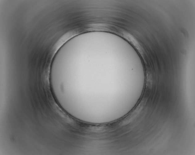 X0000113351386200910061009