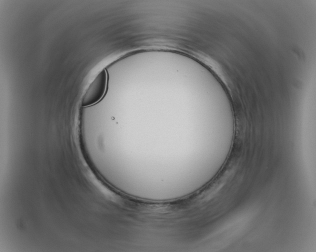 X0000113351387200910061009