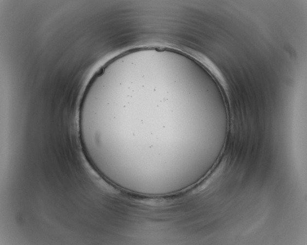 X0000113351388200910061009