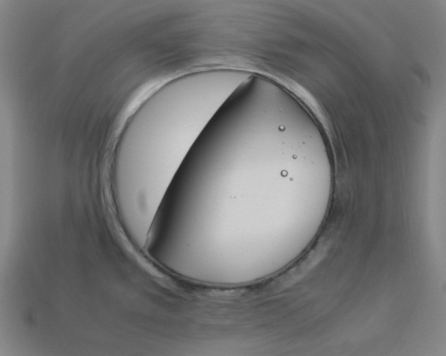 X0000113351389200910061009