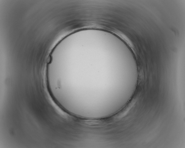 X0000113351391200910061009