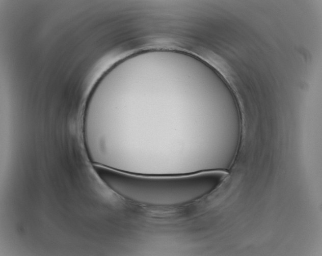 X0000113351392200910061009