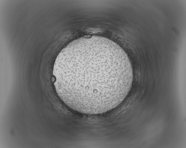 X0000113351393200910061009