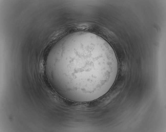 X0000113351394200910061009