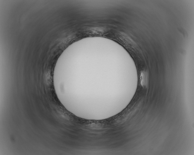 X0000113351395200910061009