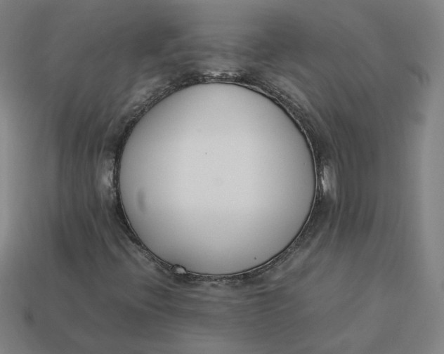 X0000113351396200910061009