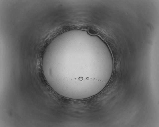 X0000113351397200910061009