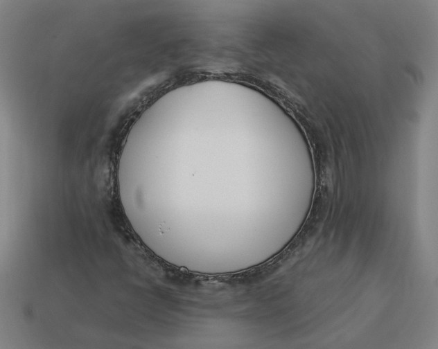 X0000113351398200910061009