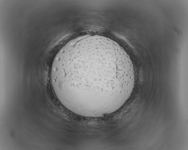 X0000113351399200910061009