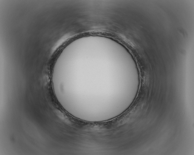 X0000113351400200910061009