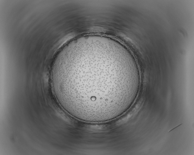 X0000113351401200910061009