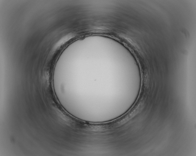 X0000113351402200910061009