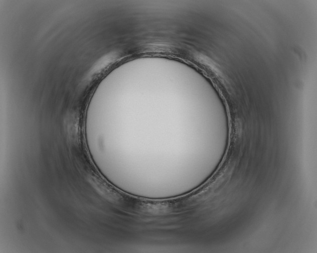 X0000113351403200910061009