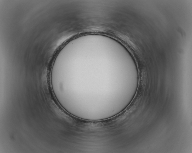 X0000113351404200910061009