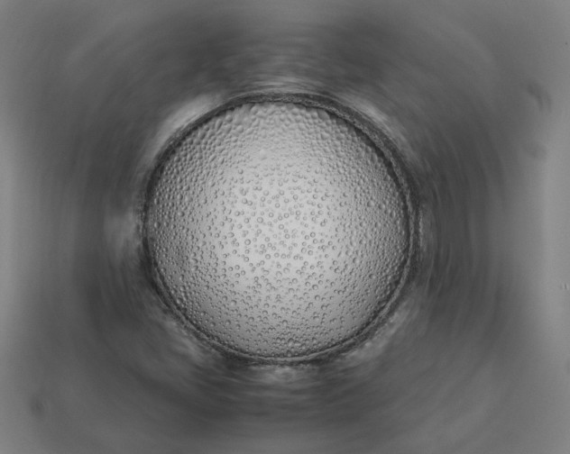 X0000113351405200910061009