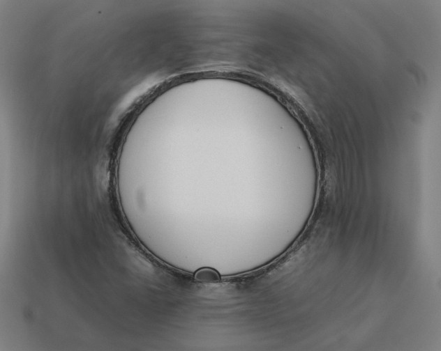 X0000113351406200910061009