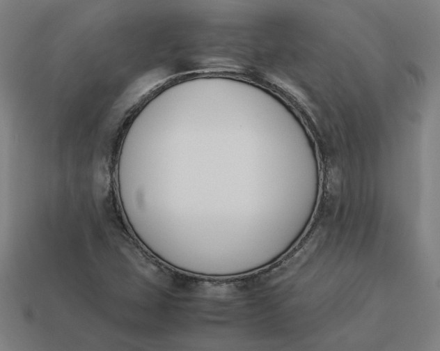 X0000113351407200910061009