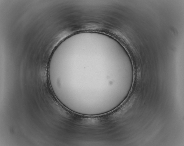 X0000113351409200910061009