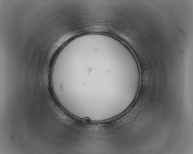 X0000113351410200910061009