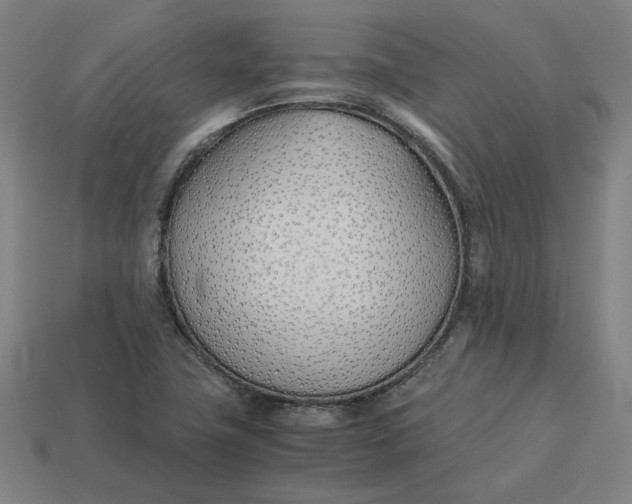 X0000113351411200910061009