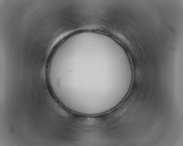 X0000113351412200910061009