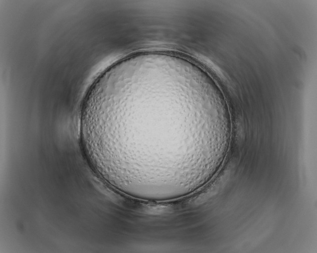 X0000113351413200910061009