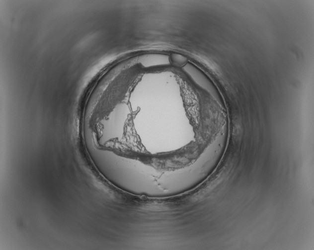 X0000113351414200910061009