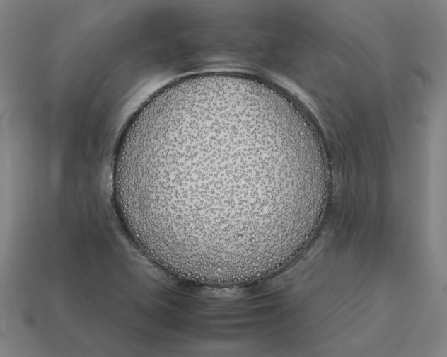 X0000113351415200910061009