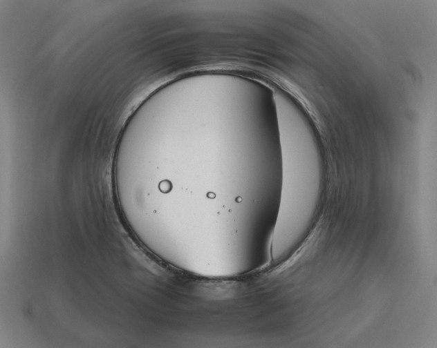 X0000113351417200910061009