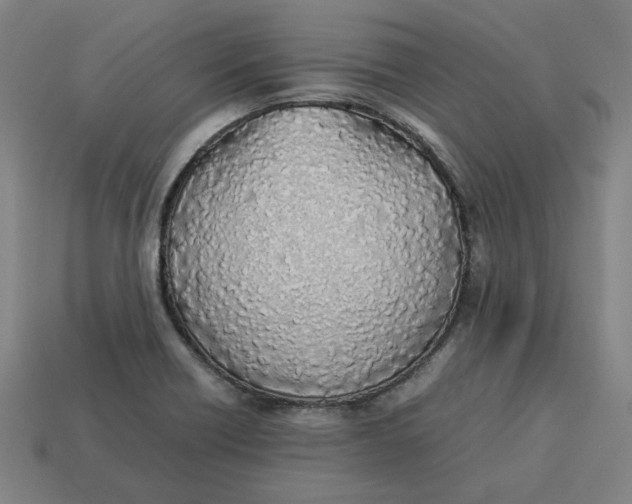 X0000113351418200910061009