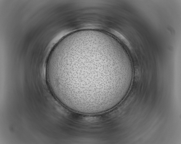 X0000113351419200910061009