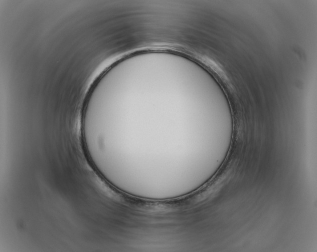 X0000113351420200910061009