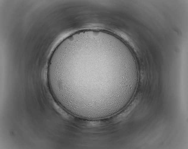 X0000113351421200910061009