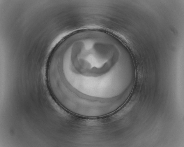 X0000113351422200910061009