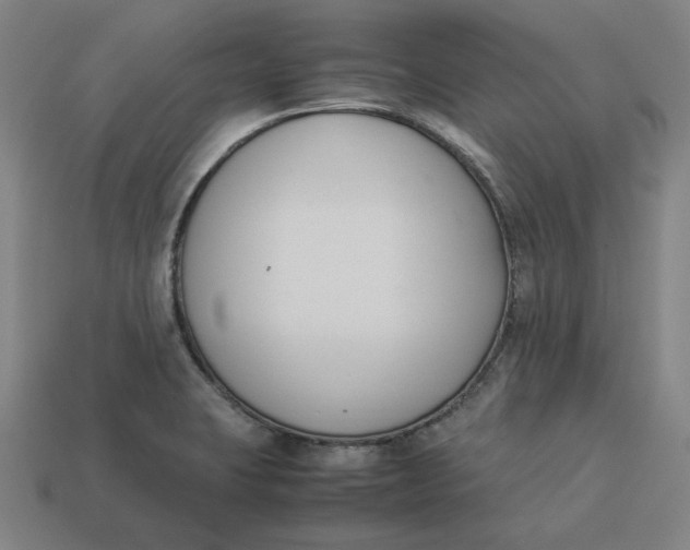 X0000113351423200910061009