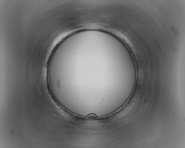 X0000113351424200910061009