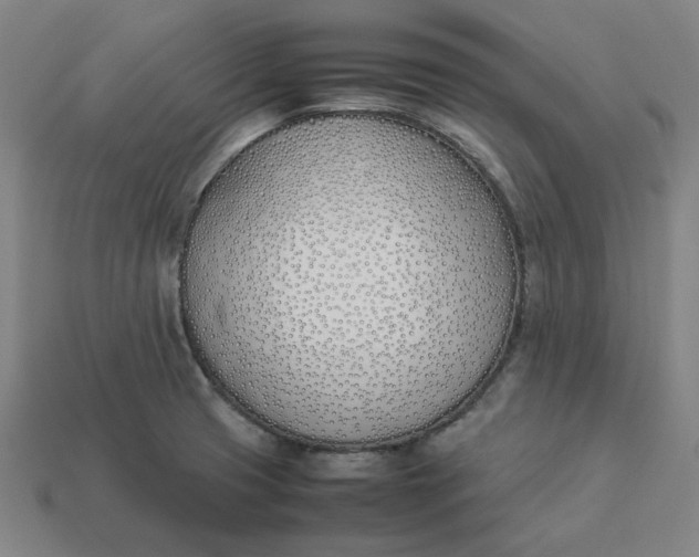 X0000113351425200910061009