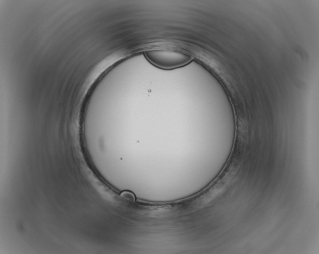 X0000113351426200910061009