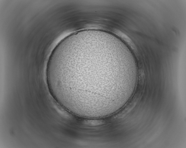 X0000113351427200910061009