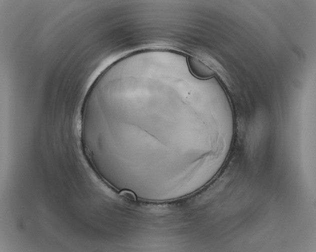 X0000113351428200910061009